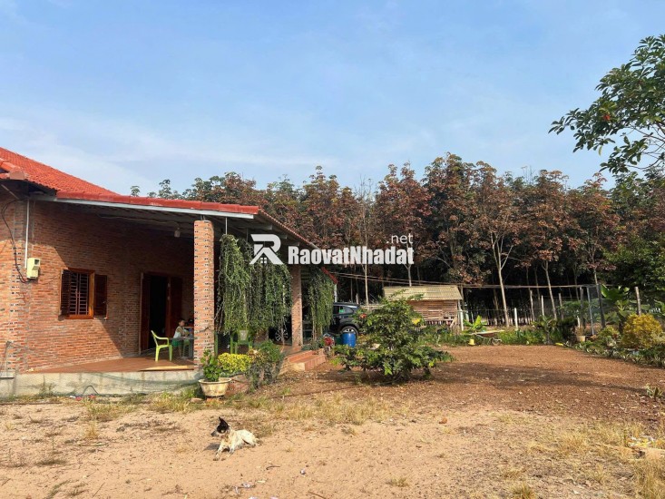 Kinh doanh thua lỗ bán nhanh nhà 2290m2 đất sổ riêng gần ngay khu công nghiệp đang hoạt động. Giá 380tr